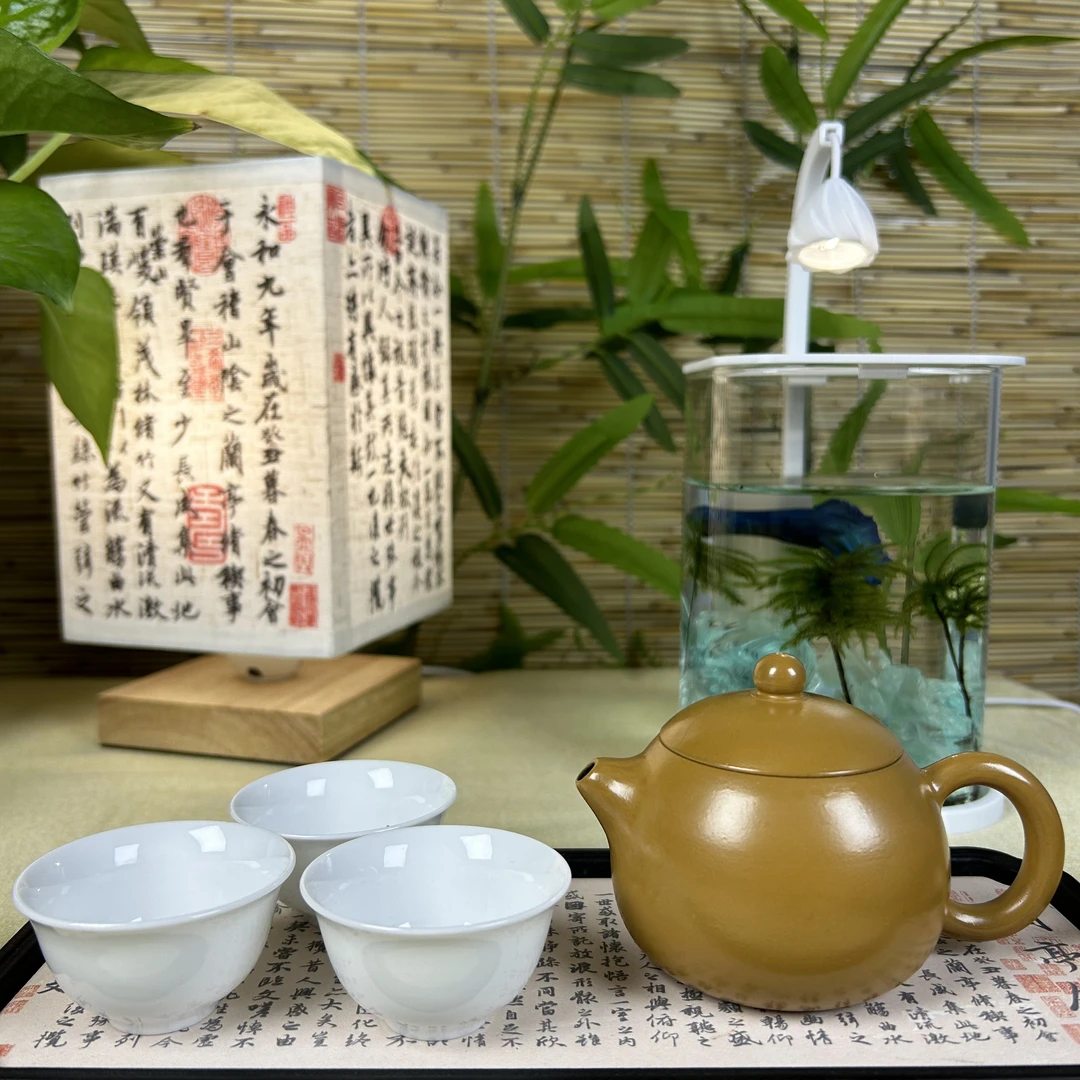 【黄金西施壶】潮州手拉壶黄金段泥原矿全手工小容量手工茶壶