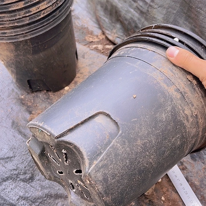 加仑盆口径22高22发6个