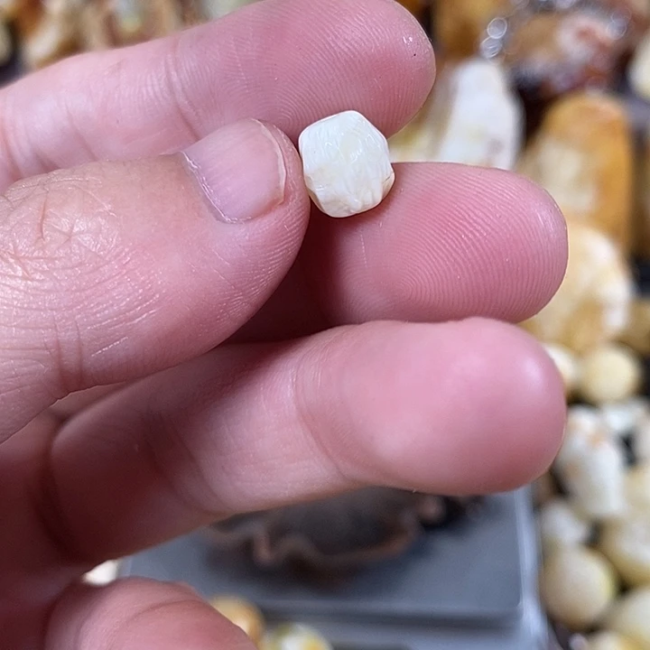 裸石琥珀未镶嵌我