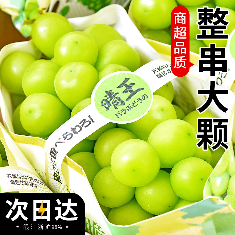 【顺丰包邮】阳光玫瑰葡萄5斤当季水果新鲜整箱冷链包邮