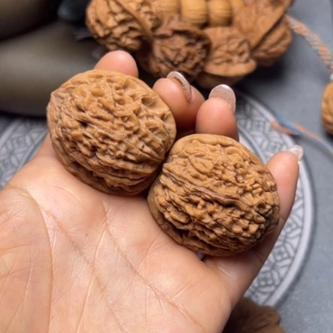 文玩核桃吊坠蚂蚁王