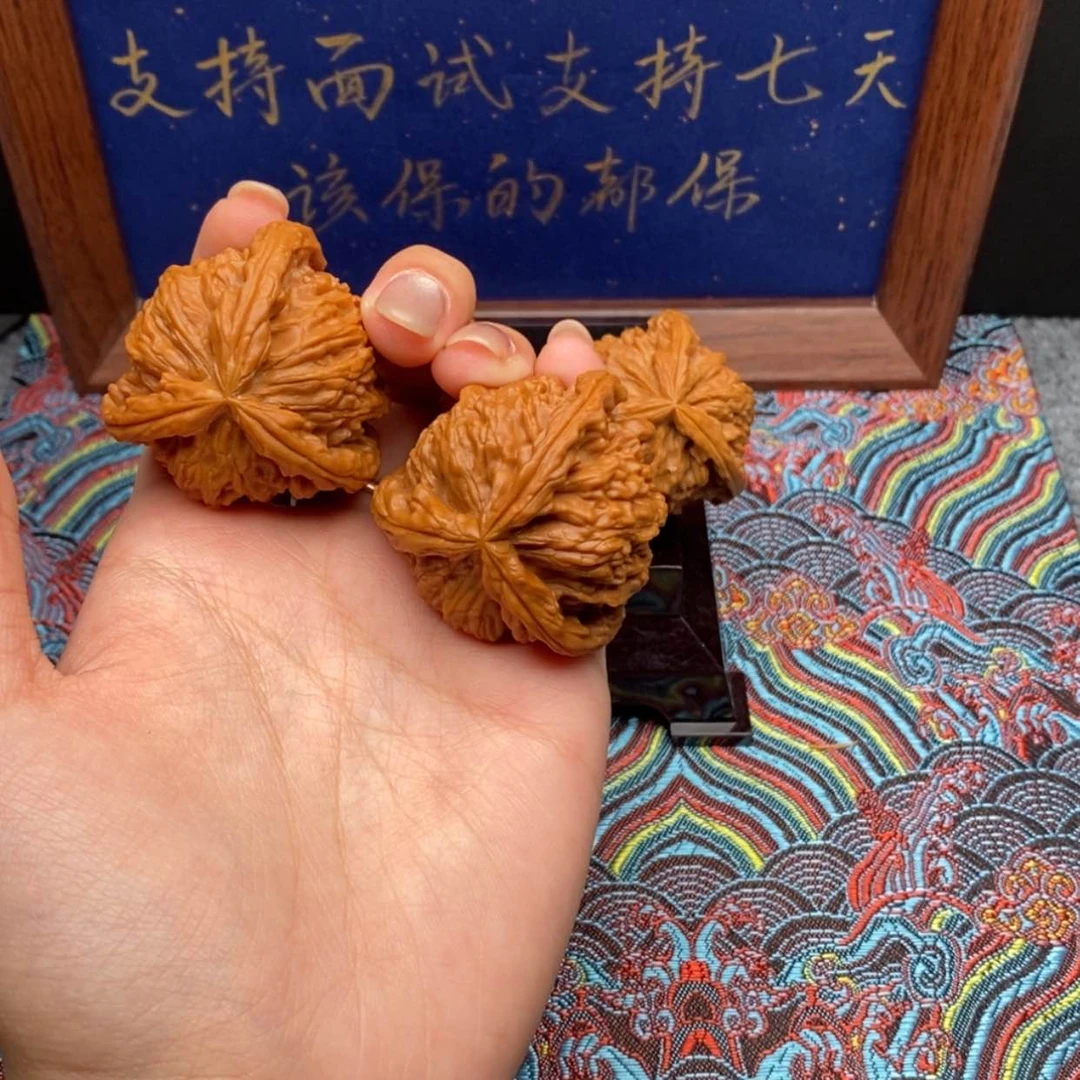 【闪购商品】宝**白狮