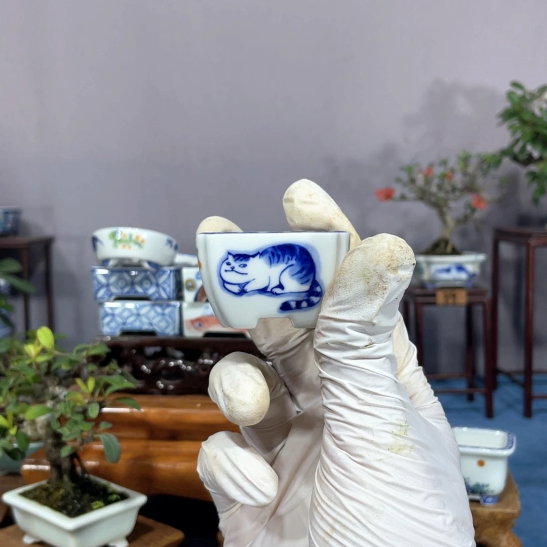 北***拳无花朵壹景手绘盆