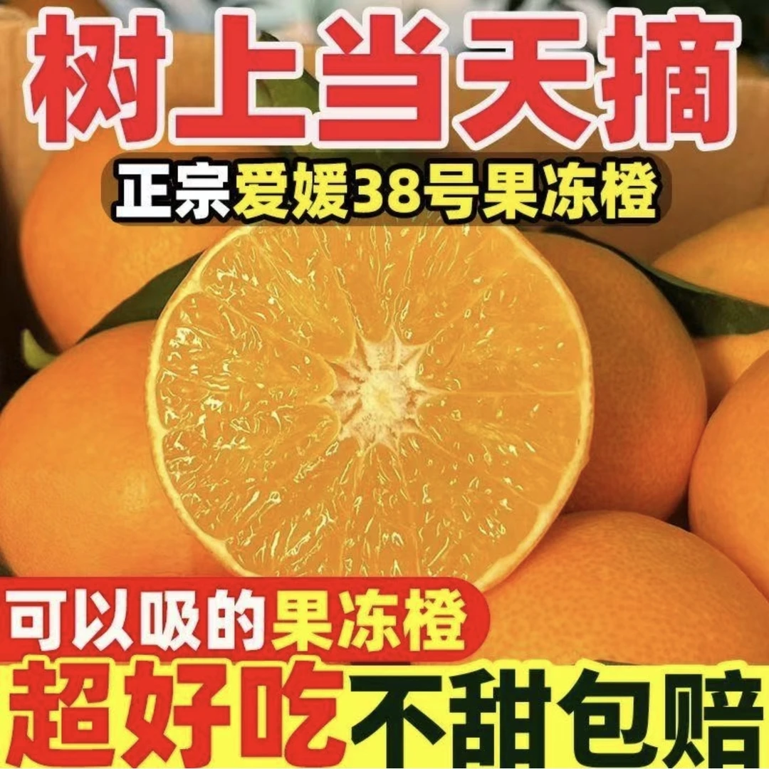 正宗爱媛38号果冻橙新鲜当季水果果园直发现采现发