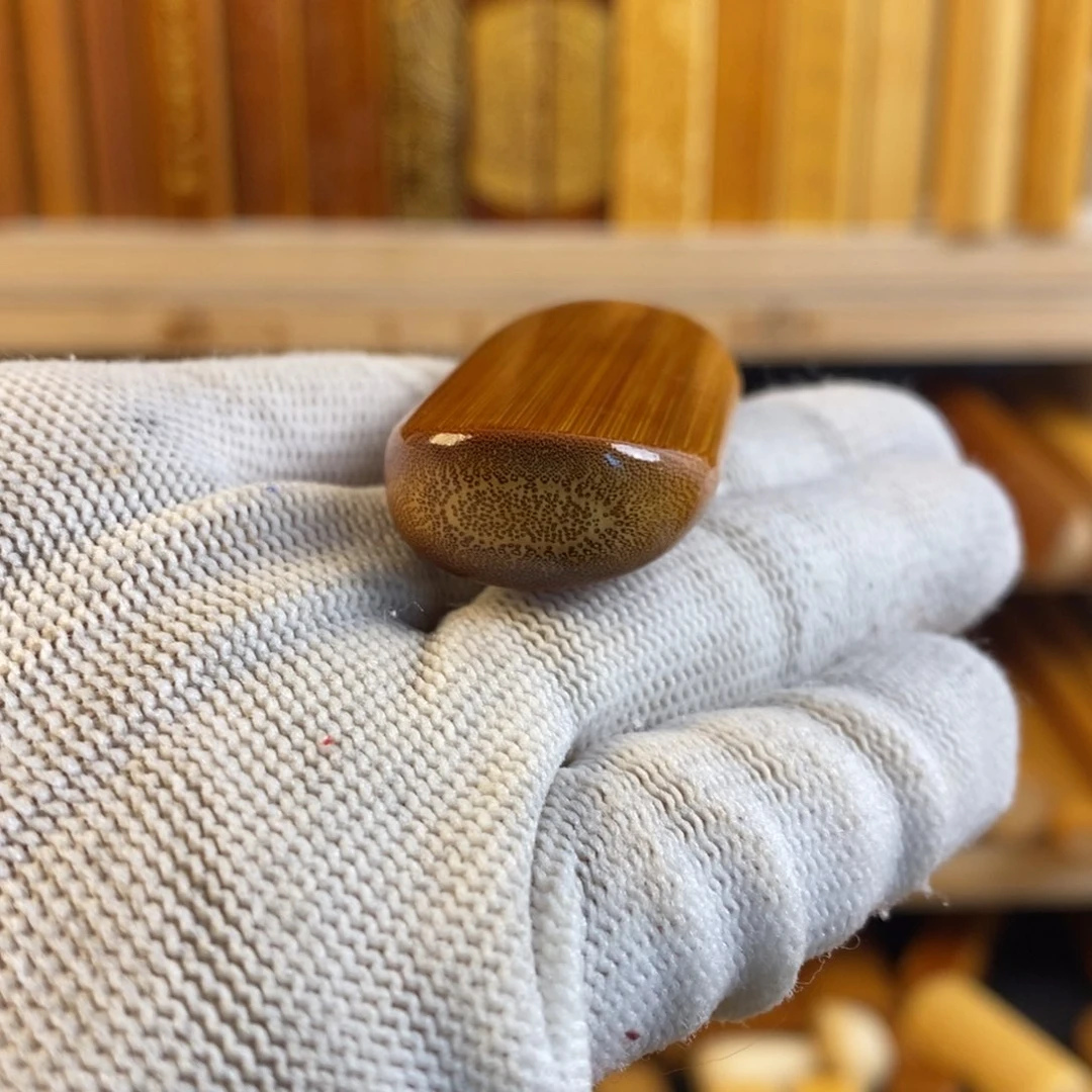 竹实心玉竹 一物一图