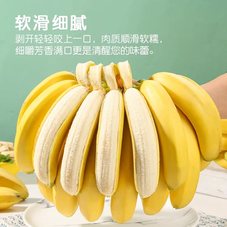 广西高山甜香蕉【净重5斤】新鲜应季热卖水果香甜软糯芭蕉整箱包邮