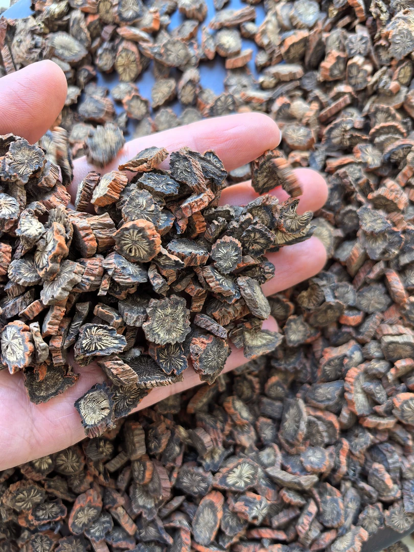 云南正宗发汗丹参切片可泡茶养生