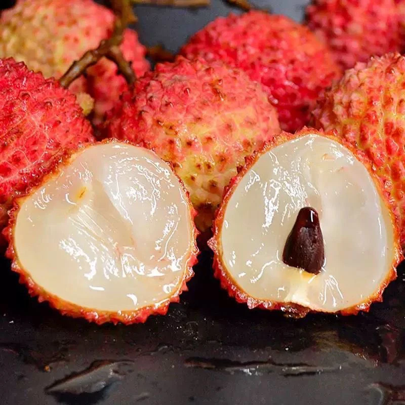 桂味荔枝新鲜现摘现发当季水果冷链发货