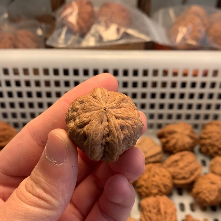 默***闻文玩核桃把件生命