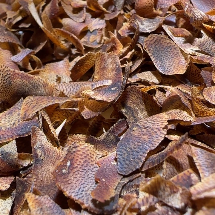 手把件沉香海南老白棋切片50克