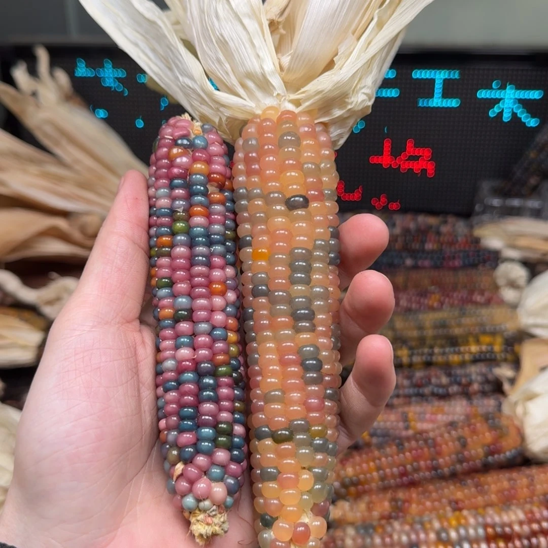 柏香籽/百香籽吊坠瑶*万