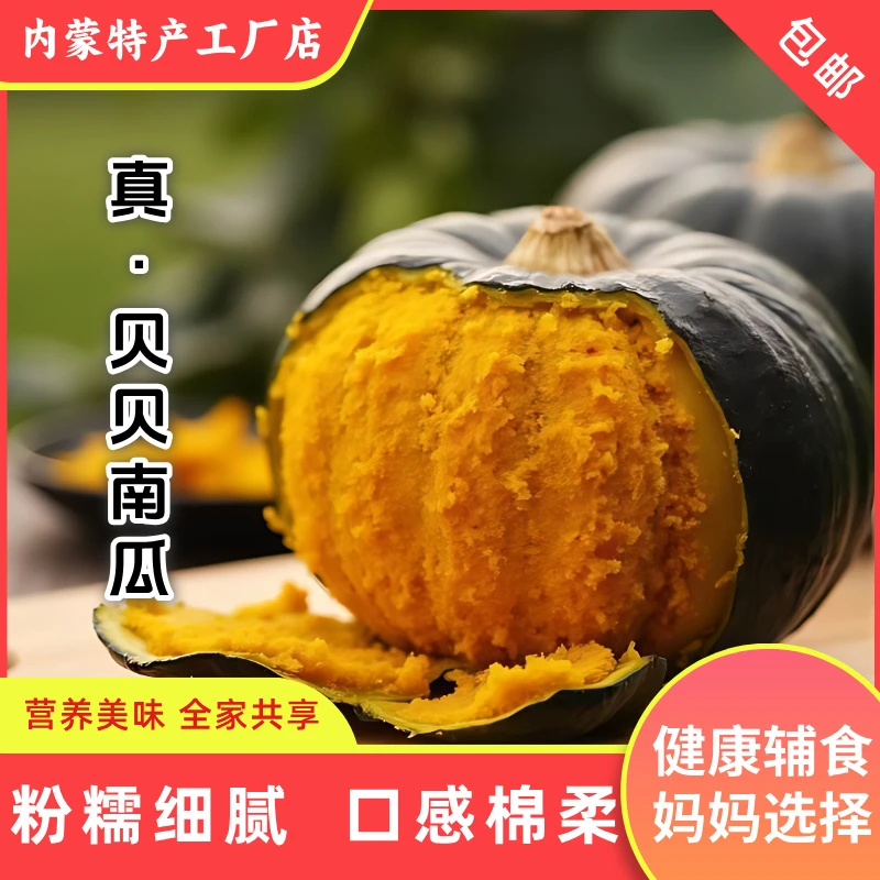 [正宗]贝贝南瓜板栗味宝宝辅食甜糯新鲜蔬菜正宗南瓜