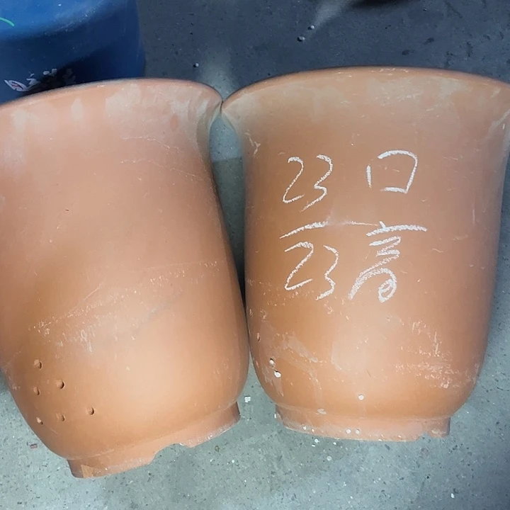 红陶紫砂紫砂紫砂