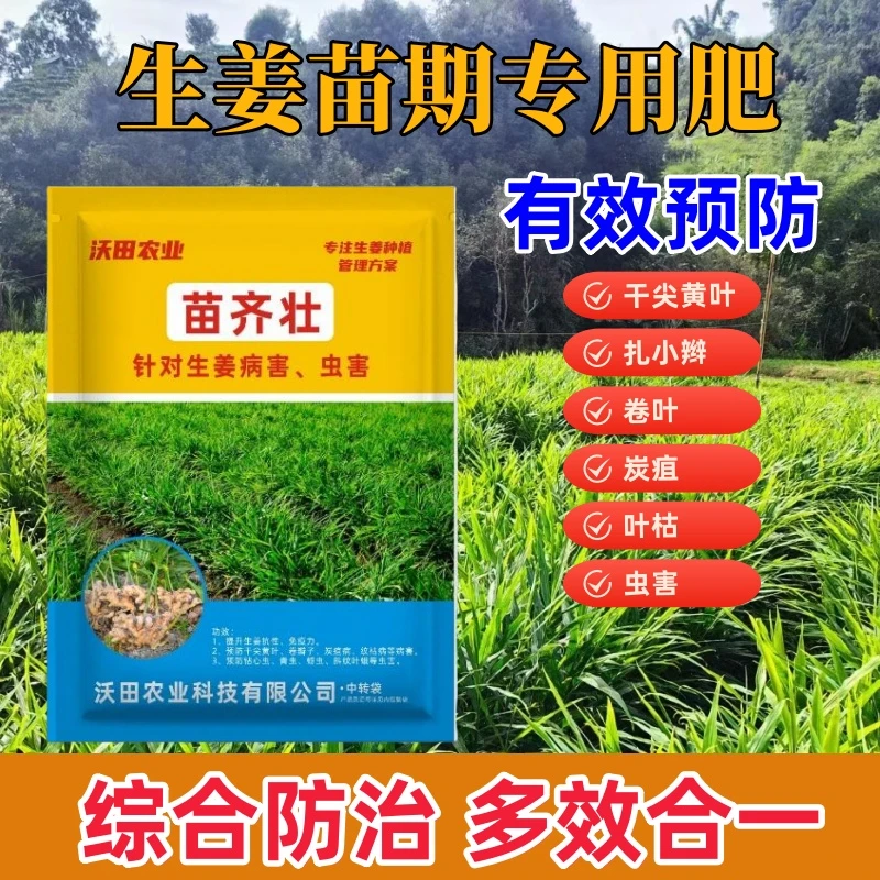 2生姜病虫害防治家用专用姜瘟姜腐烂脖子病害户外杀虫剂