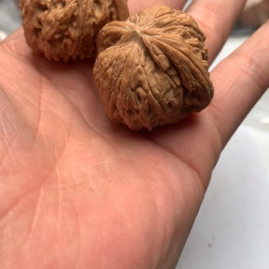 你是我的小太阳啊你