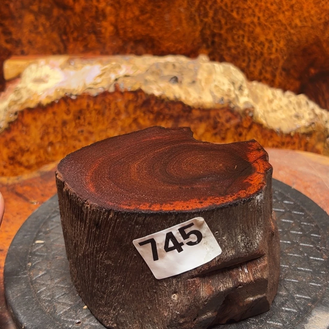 大果紫檀（缅甸花梨）