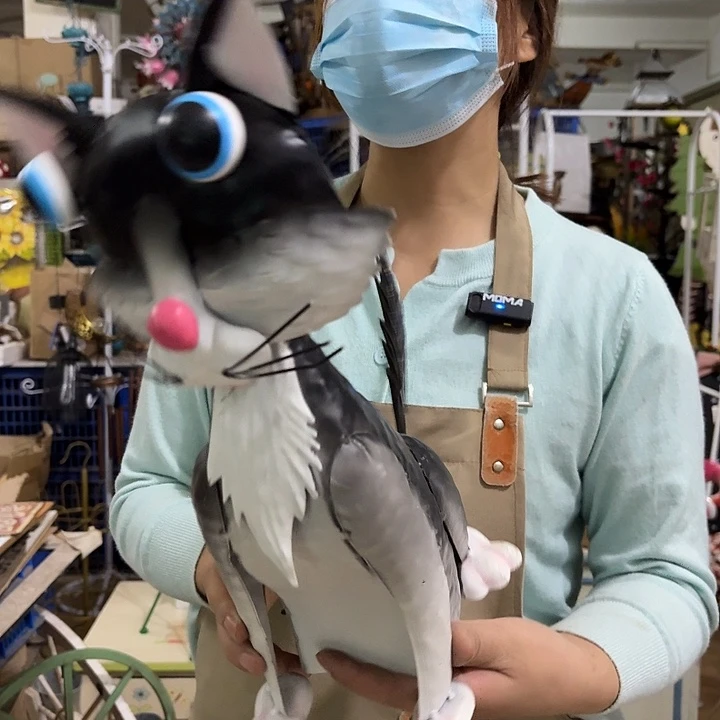 核桃木/黑胡桃（胡桃木）