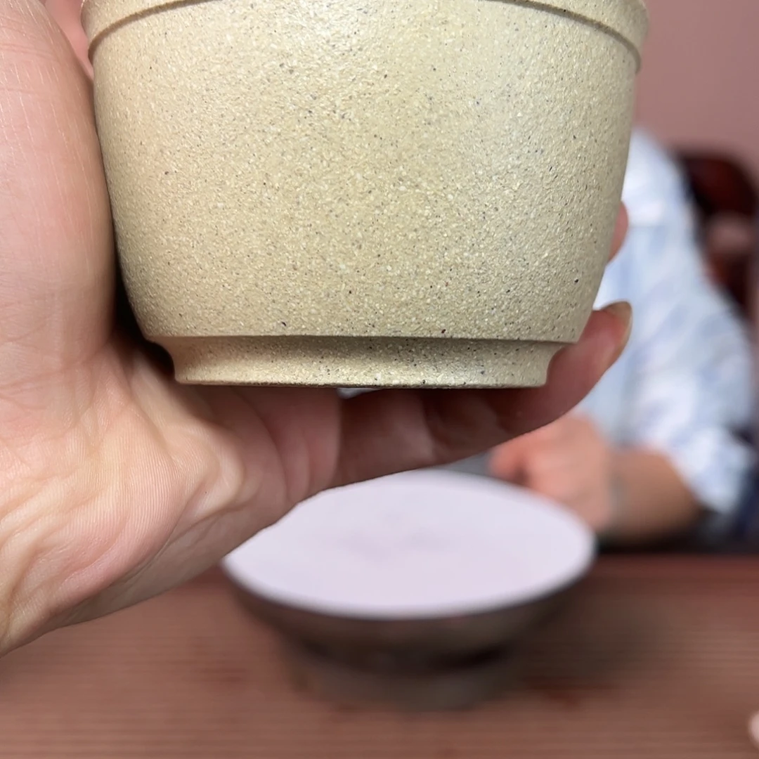茶杯紫砂紫砂花是我喜欢