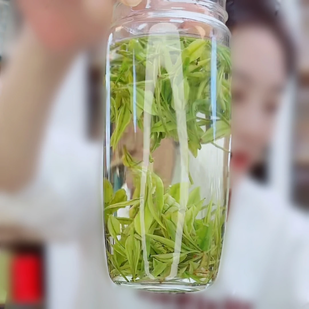 【福利口粮茶109】2025新茶枫璟白茶高山原产地安吉白茶