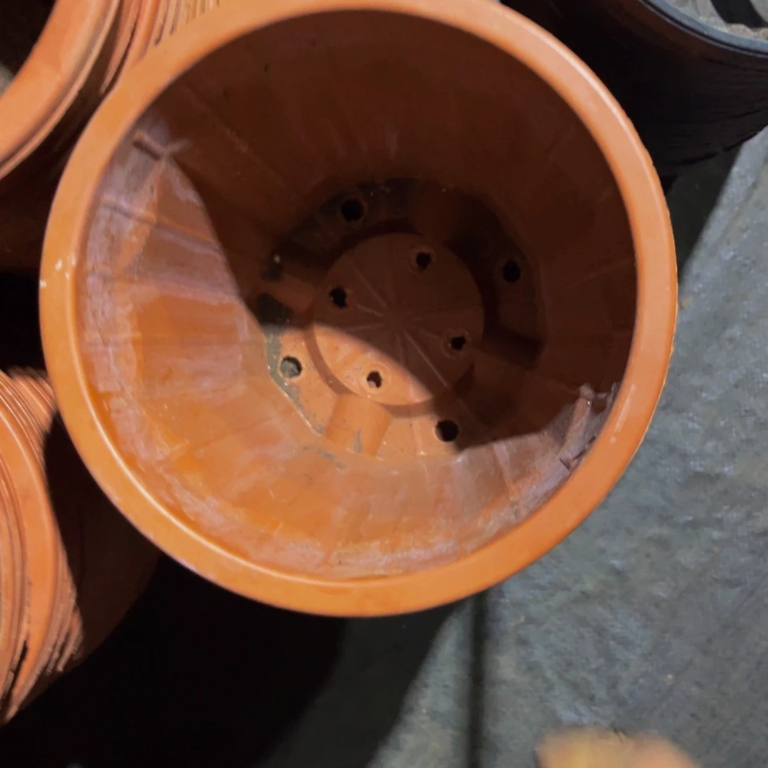 旧口径20 高度18 红砖盆10个