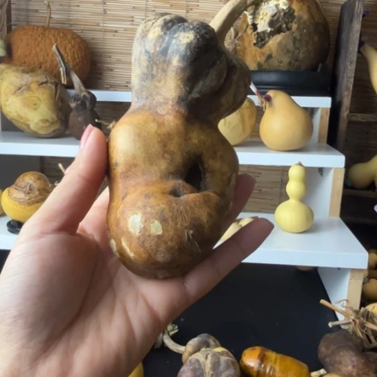 圆**圆瑕疵莲花头手吧厚皮
