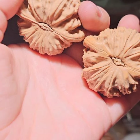 文玩核桃吊坠44.5闷白