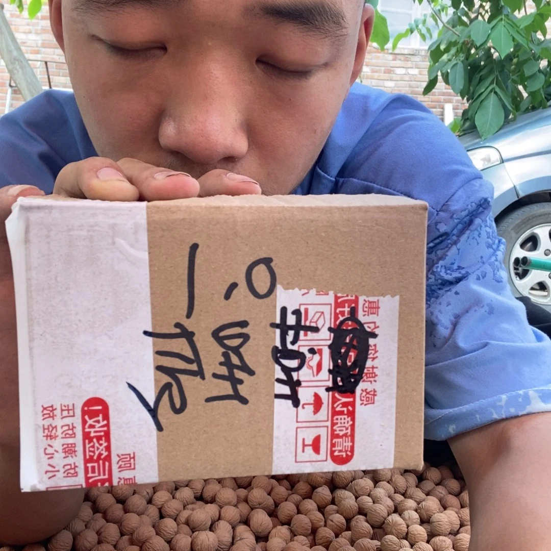 文玩核桃把件莫*辰福利