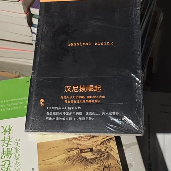 汉尼拔崛起平装库存书