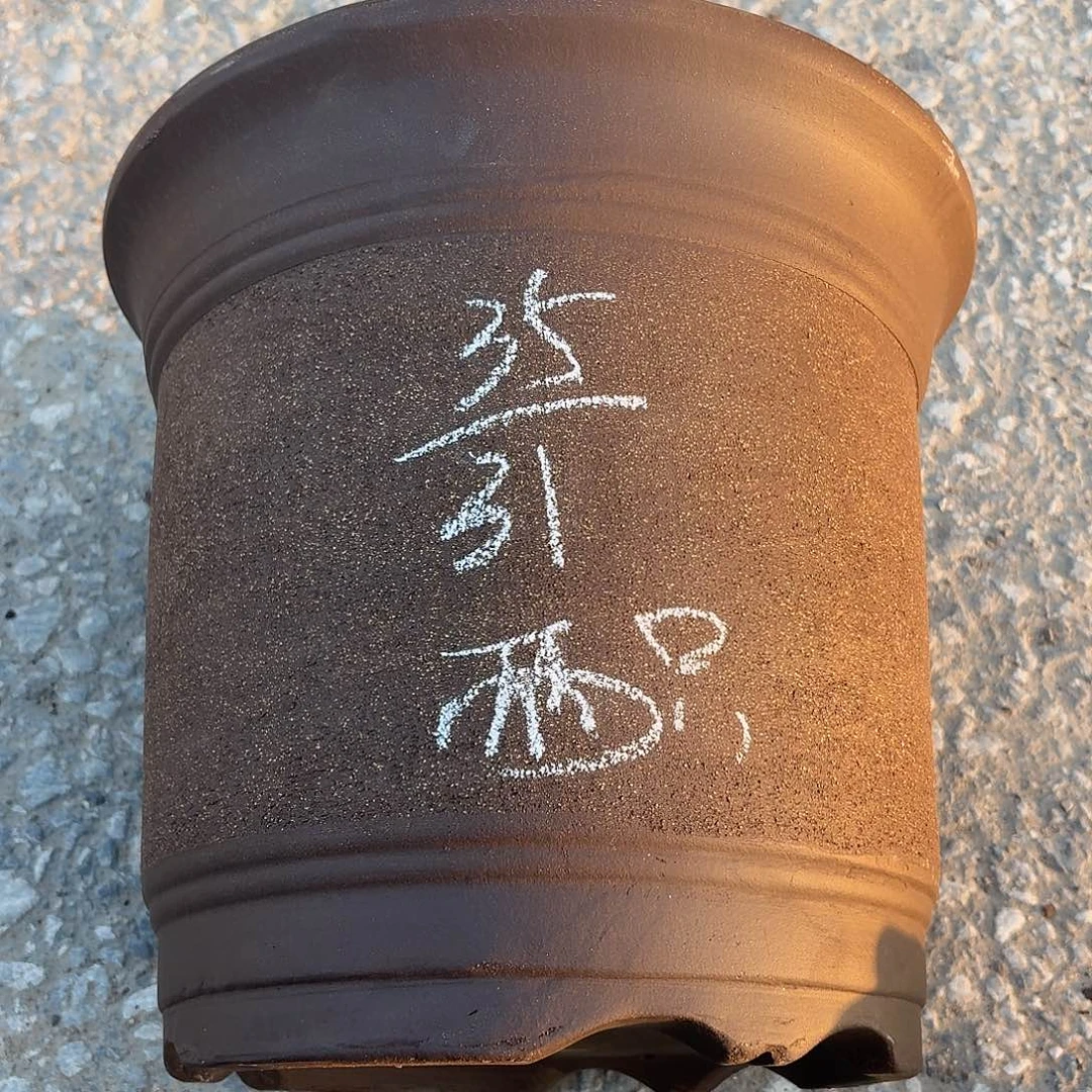 宜兴紫砂花盆，现货发