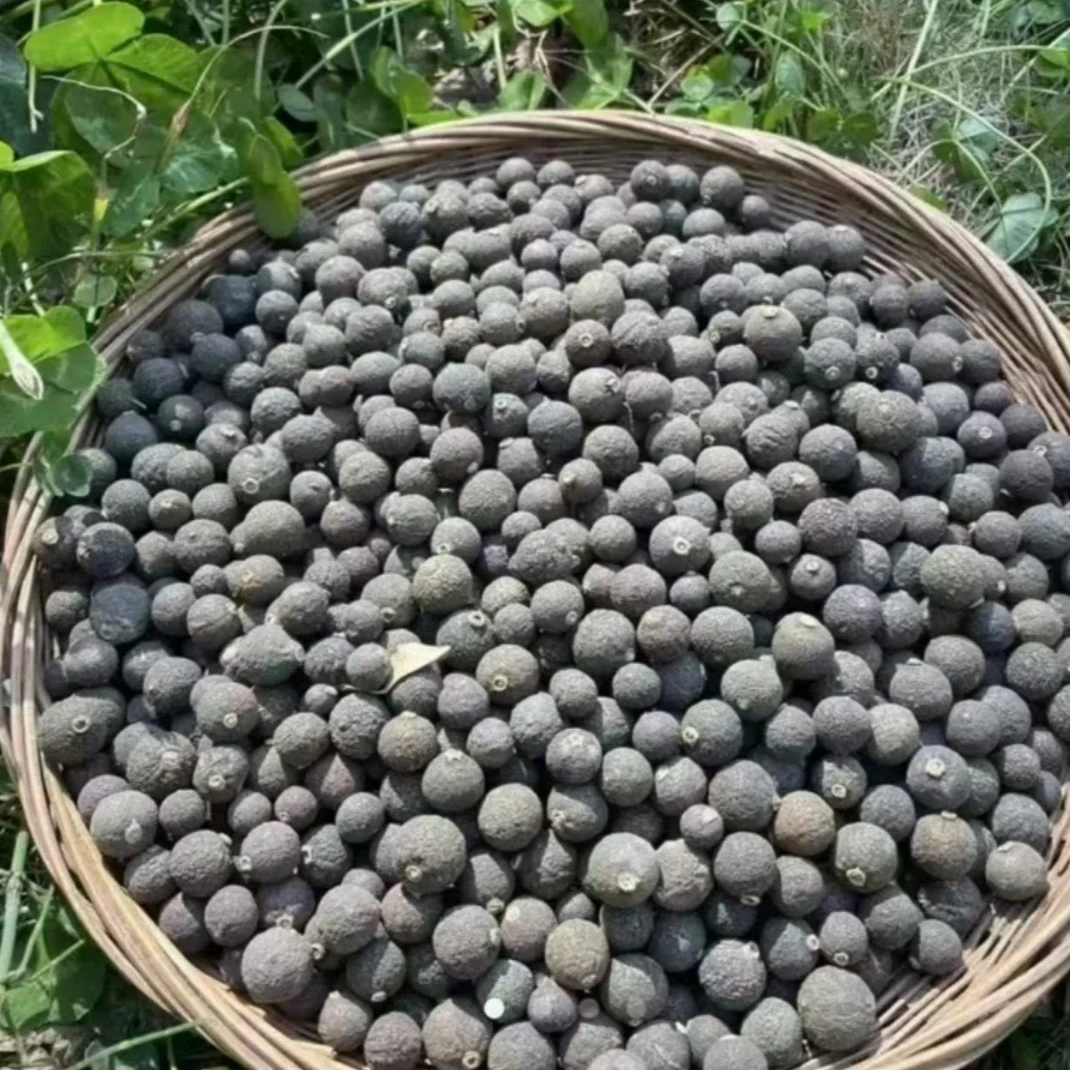 【黑灵果】小柑胎500g1000g 熹菊山房专属 可搭配枸杞