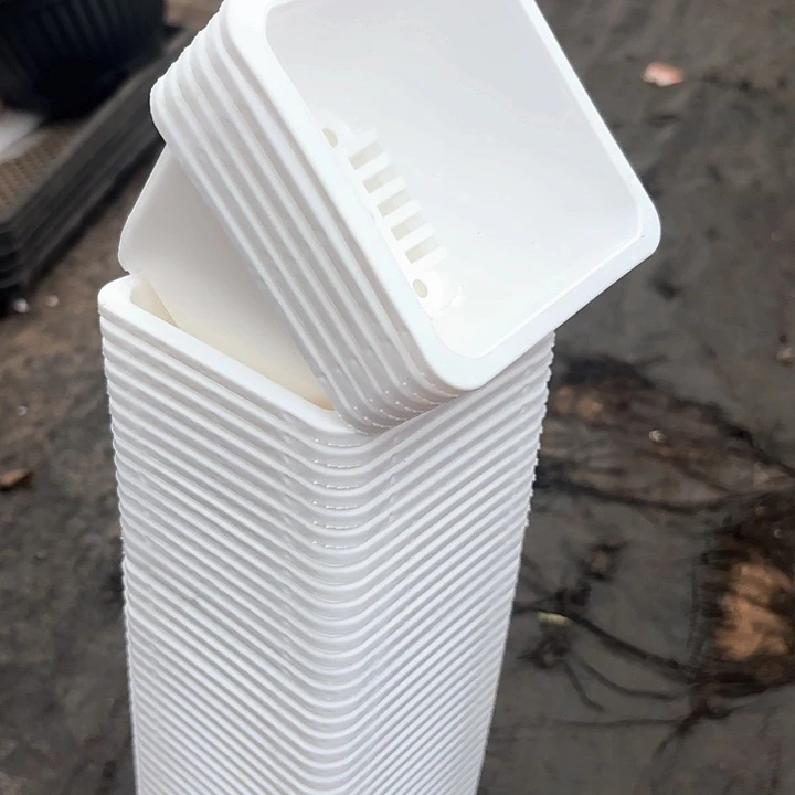 100白方盆9公分高7公分100个