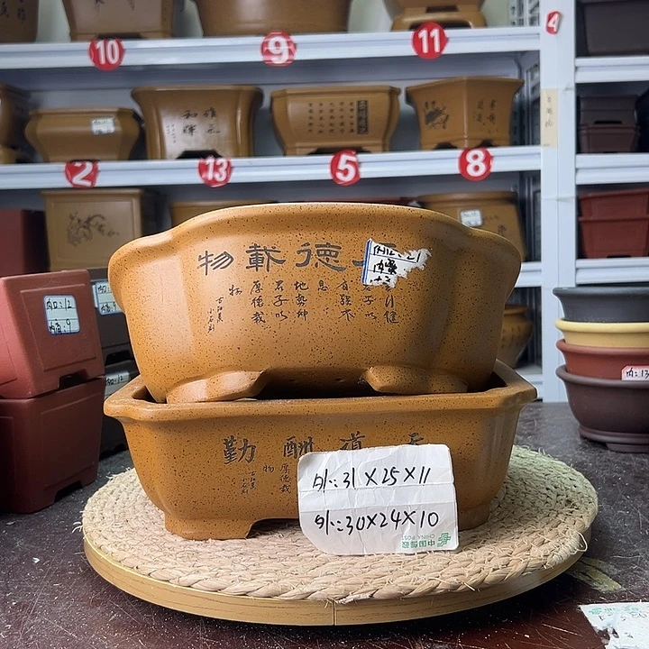 紫砂花盆蛇年大吉
