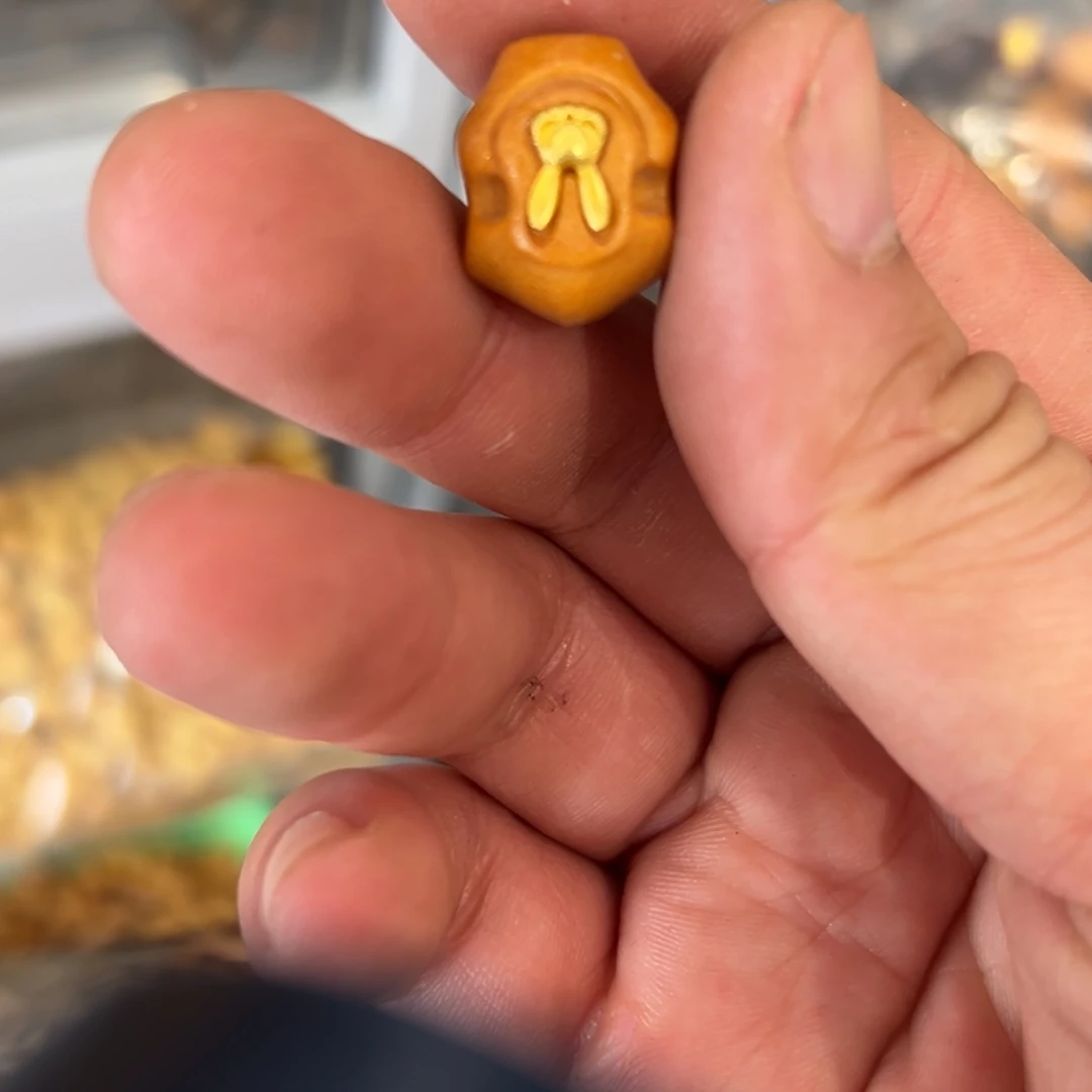 破布木（黄金檀）无事牌