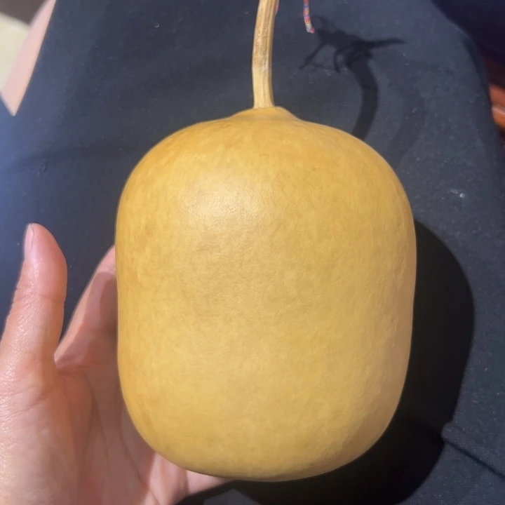 小***默天然新皮保定墩葫芦