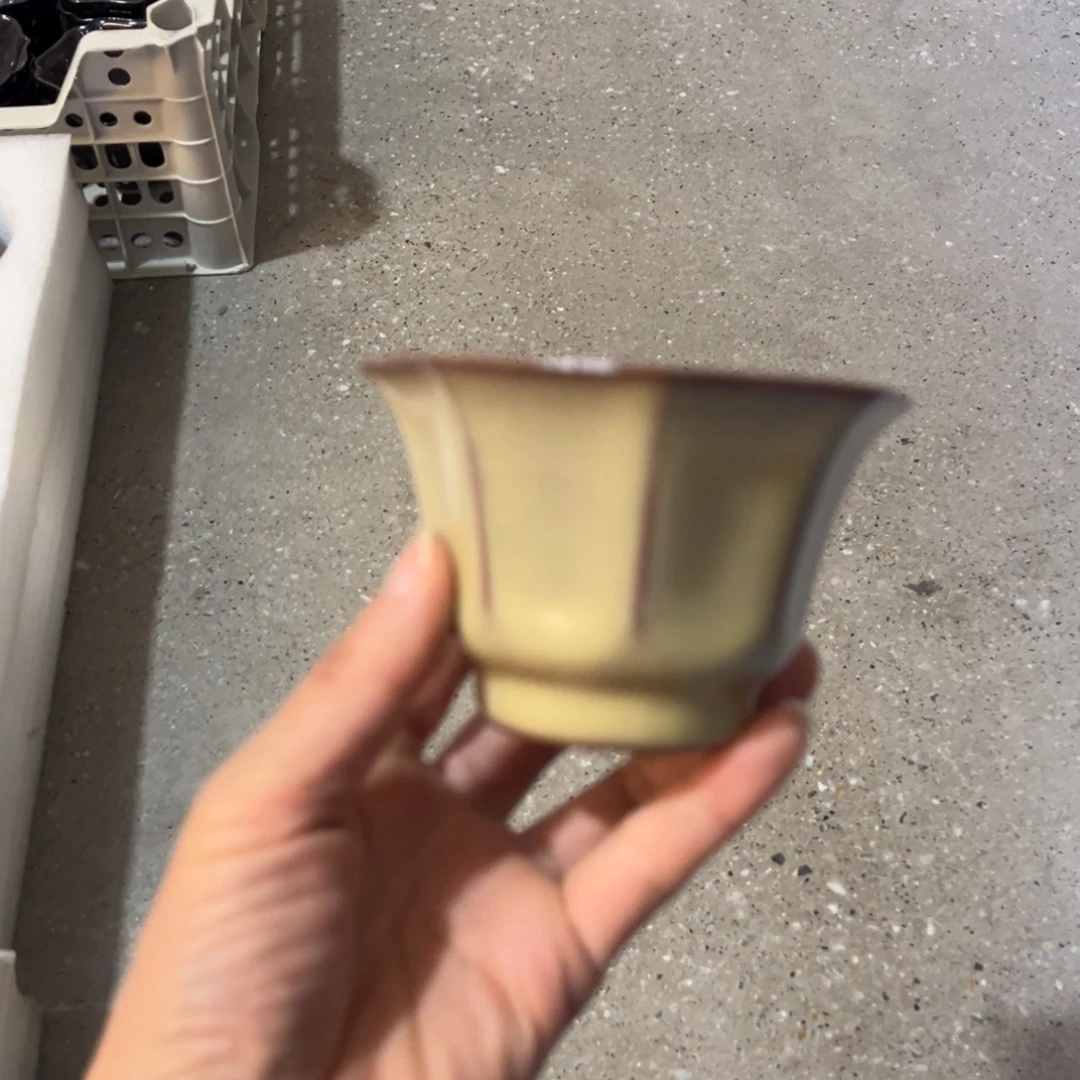 蒋加宝  传世哥窑