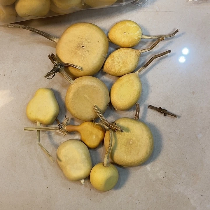 ?**?葫芦葫芦葫芦葫芦葫芦