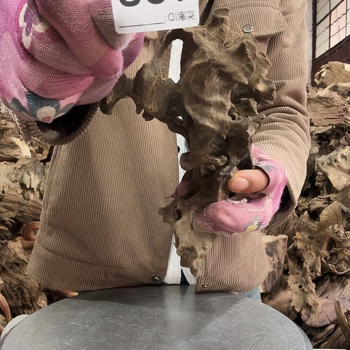 鑫*紫砂噜啦啦啦啦啦啦