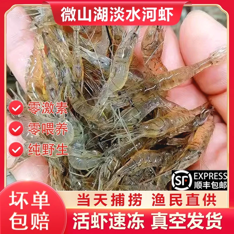 微山湖清水小河虾鲜活淡水草虾活虾冰冻新鲜大号青虾鱼食速冻土虾