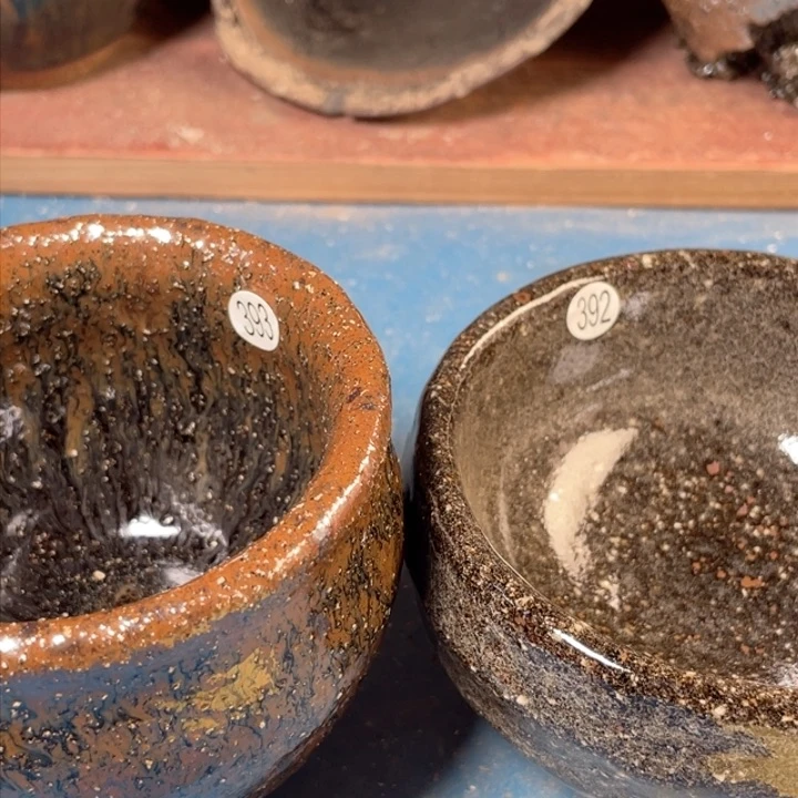 茶宠盏盏灯都是我的爱啊