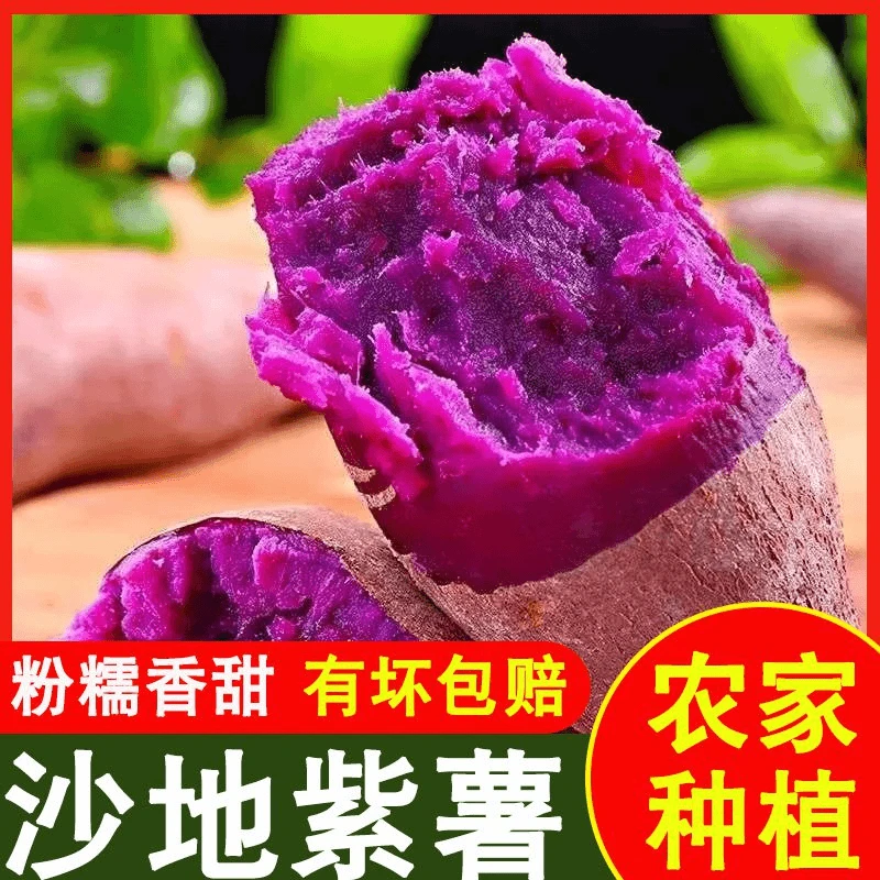 新鲜农家自种紫薯紫罗兰沙地现挖新鲜番薯地瓜粉糯香甜粗粮代餐