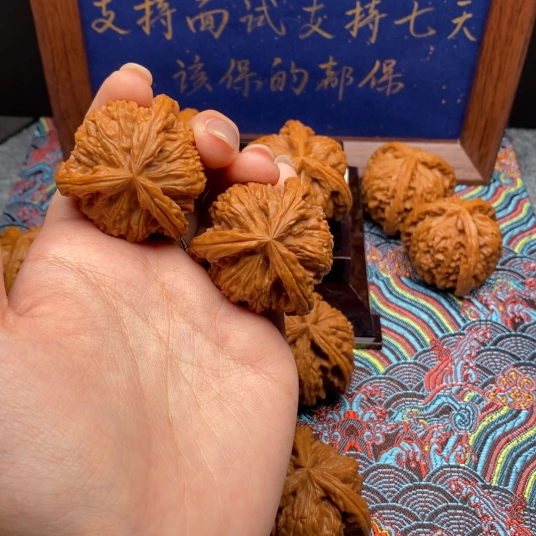 【闪购商品】善*白狮子1111111
