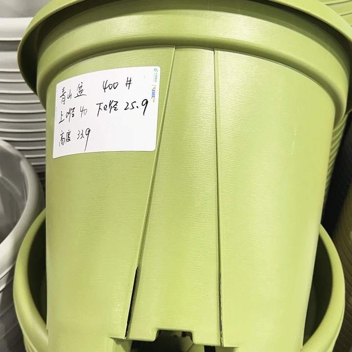 特价青山口40高34果绿无托3只
