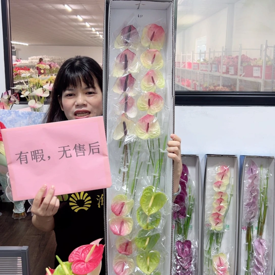 完全开放混色-20枝装无售后款511