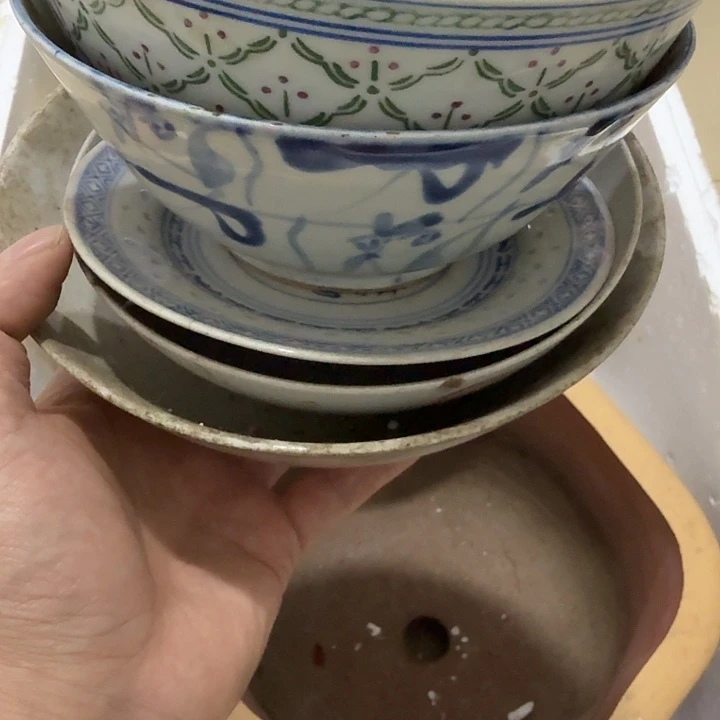 翔***扇子和v哥哥哥哥哥哥哥哥哥哥哈哈