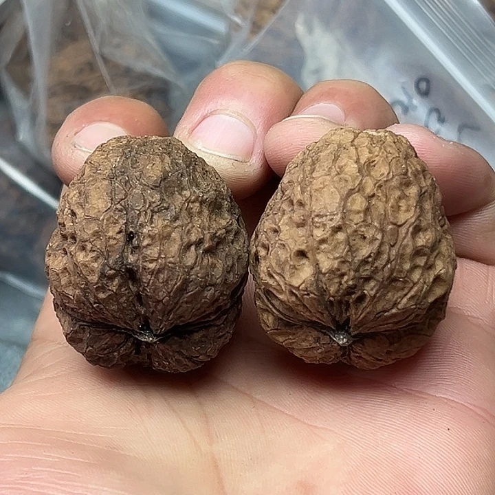 把件文玩核桃17号大元宝42尺