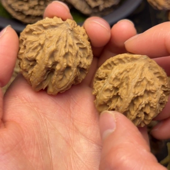 文玩核桃把件秦岭核桃13