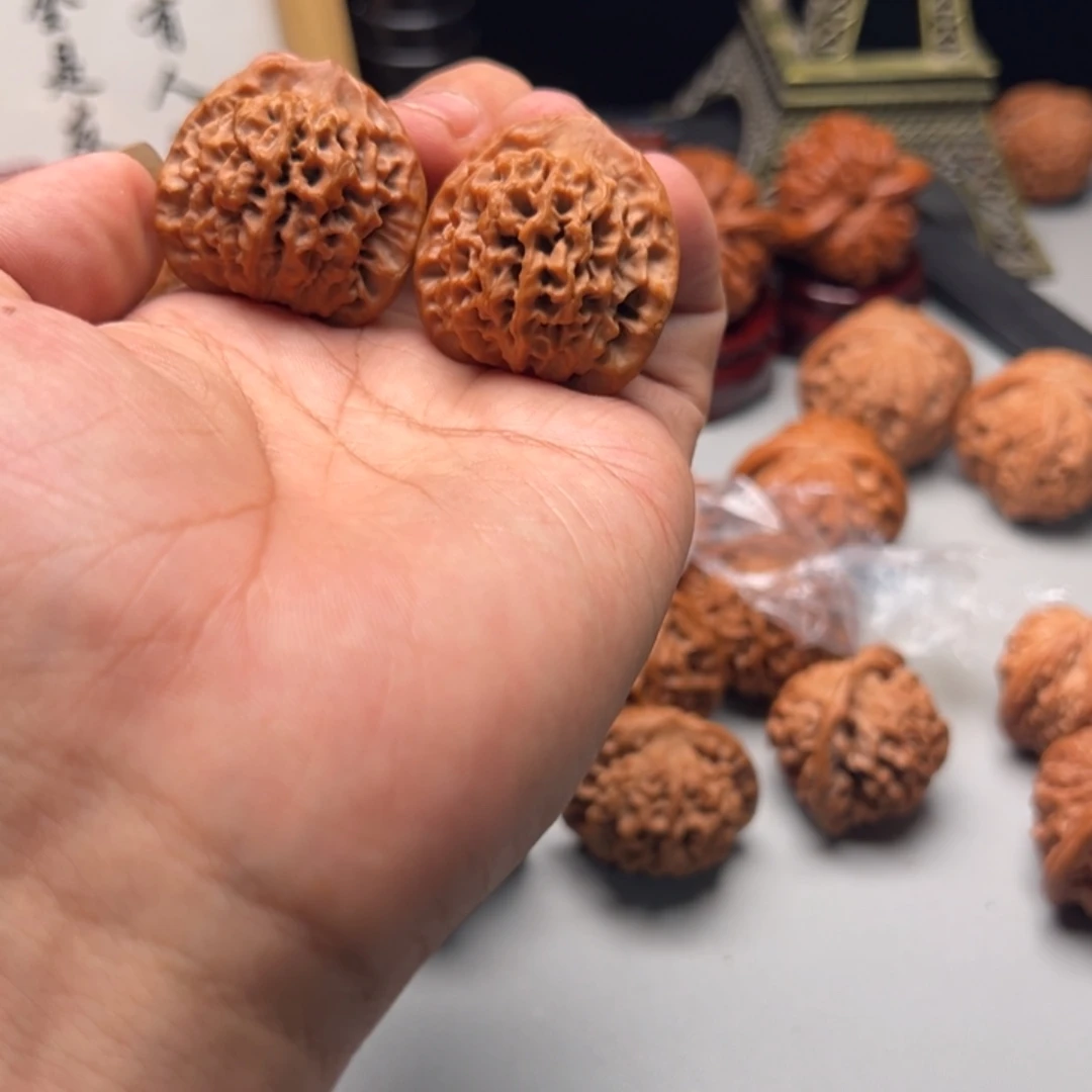 34尺寸宝鸡秦闷狮子头