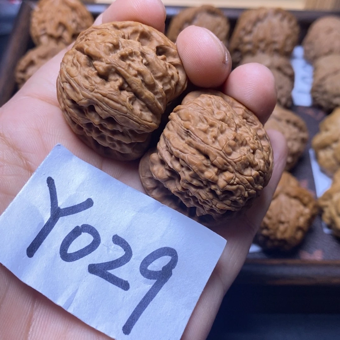 把件文玩核桃37尺白狮子