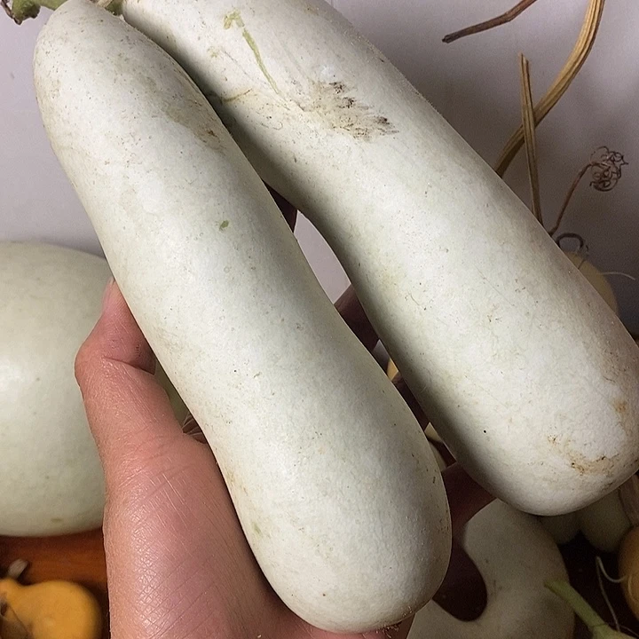 二***哥青皮腰子葫芦手把件