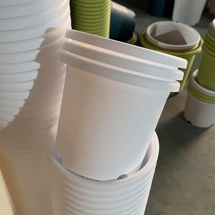 四季4#白色8个无托